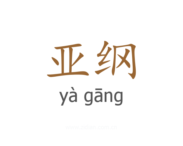 亚纲
