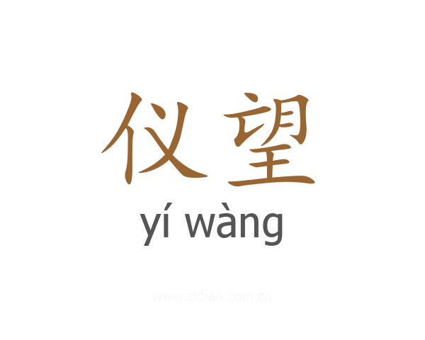 仪望