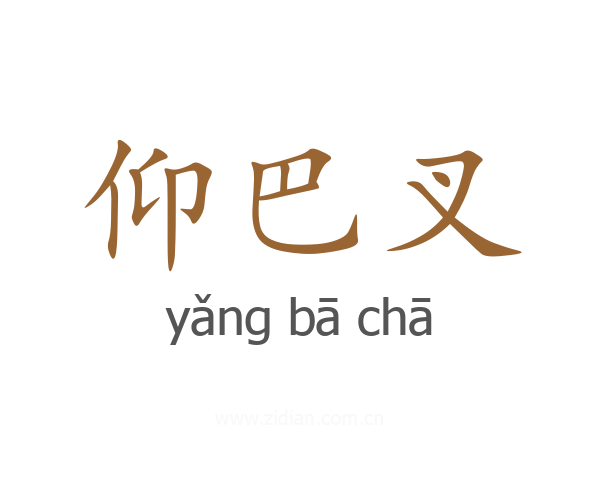 仰巴叉