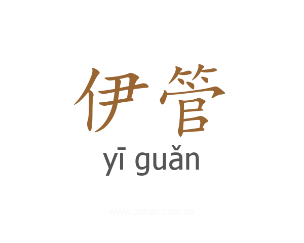 伊管