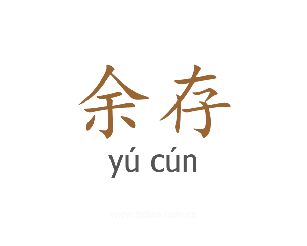 余存