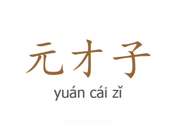 元才子