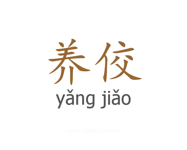养佼