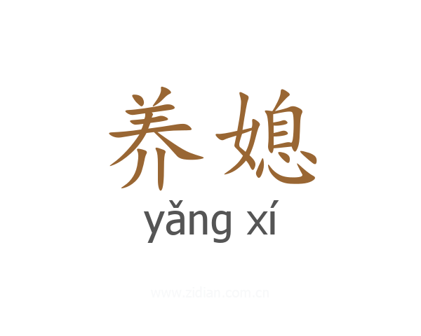 养媳
