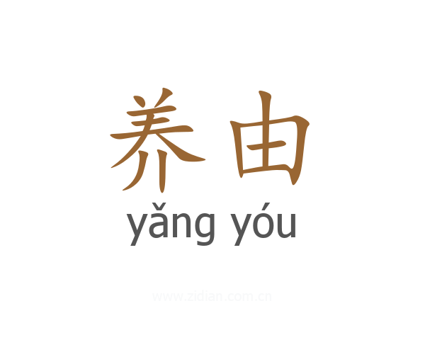 养由