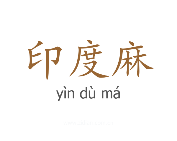 印度麻