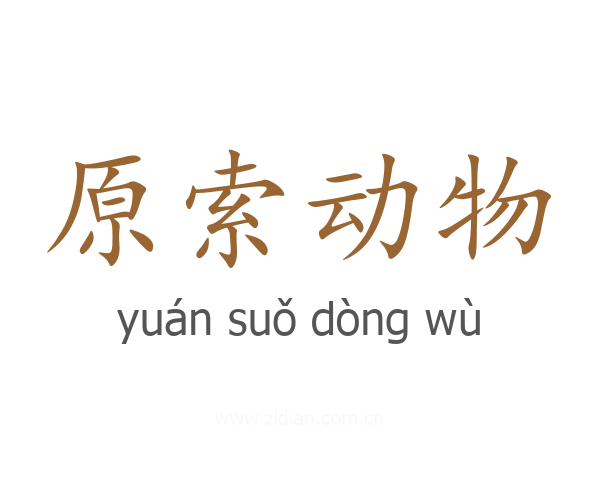 原索动物
