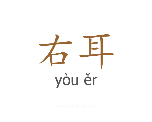 右耳
