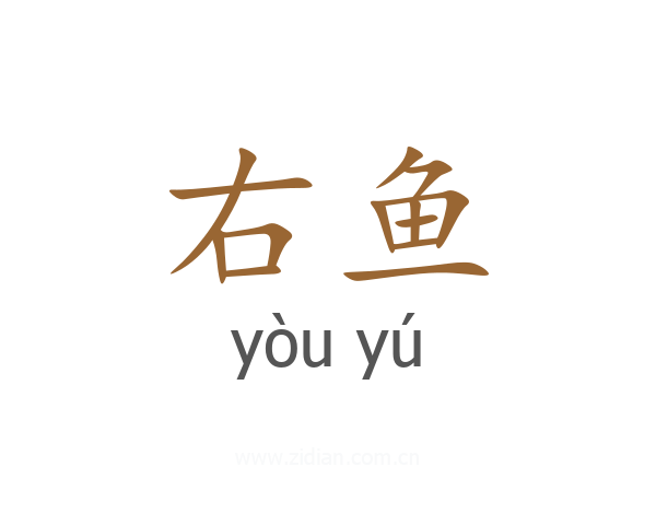 右鱼