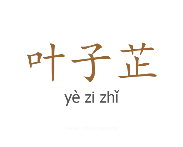 叶子芷