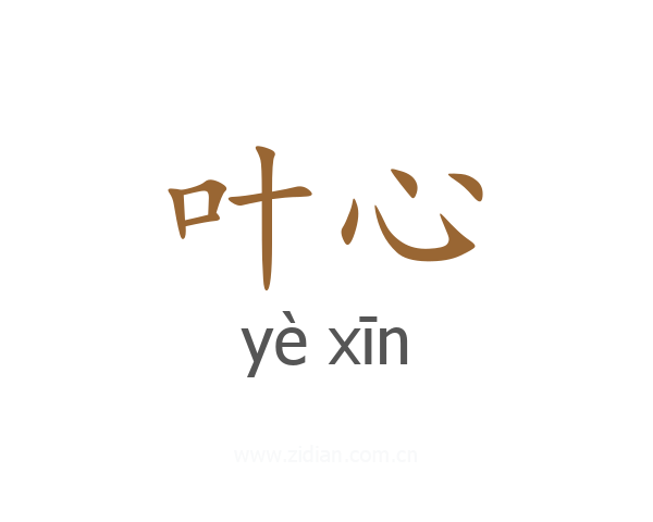 叶心