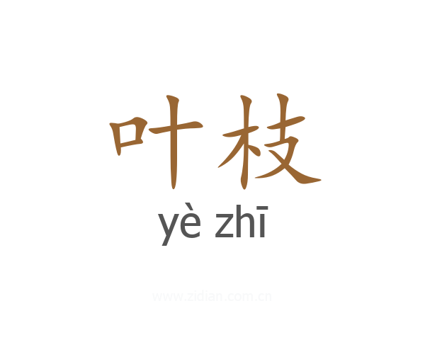 叶枝