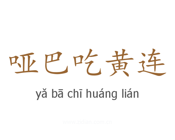 哑巴吃黄连