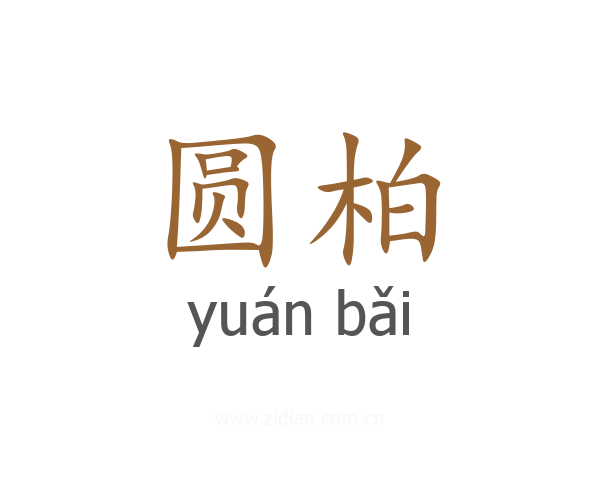 圆柏