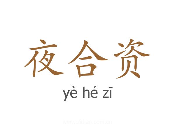夜合资