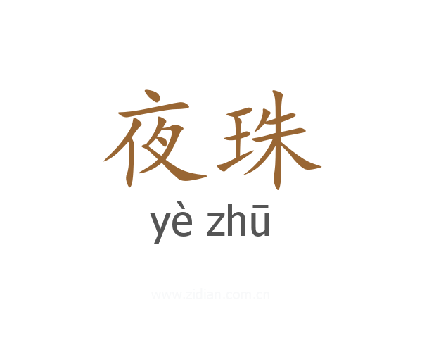 夜珠