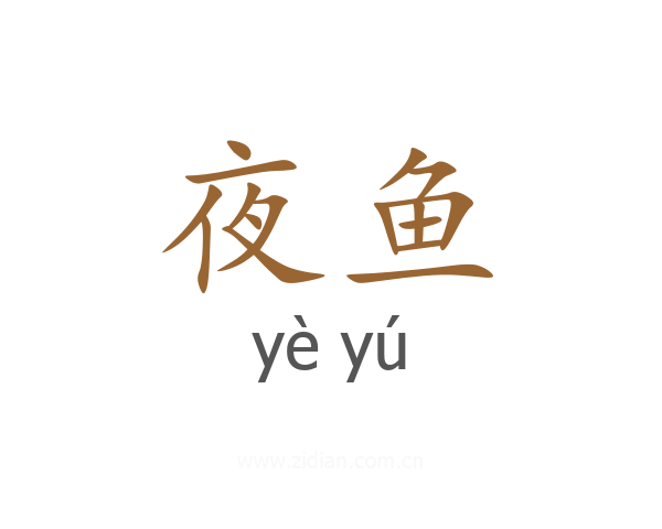 夜鱼