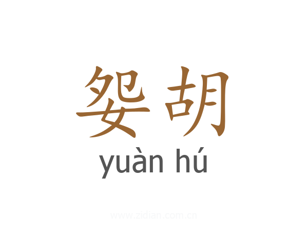 妴胡