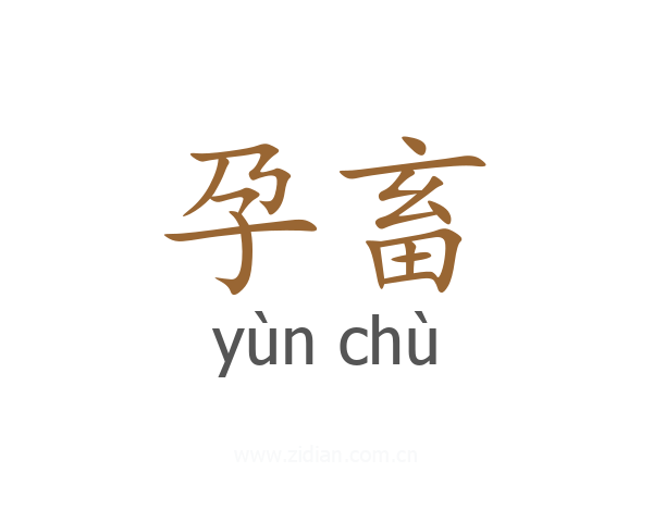 孕畜