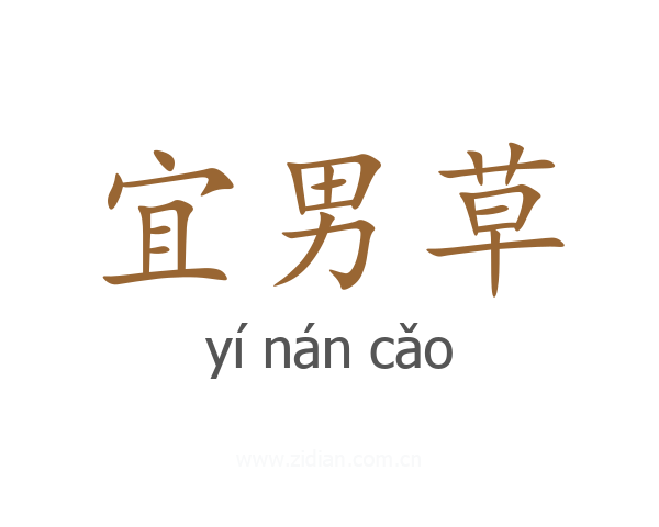 宜男草