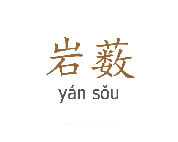 岩薮