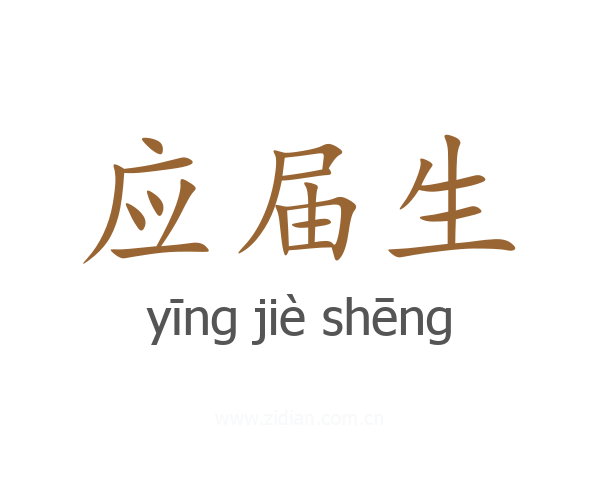 应届生