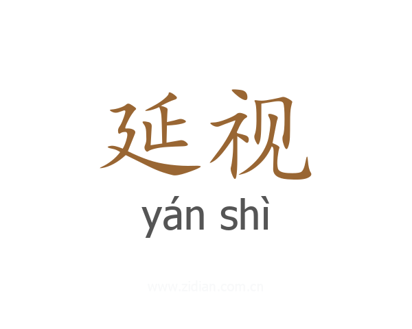 延视