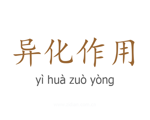 异化作用