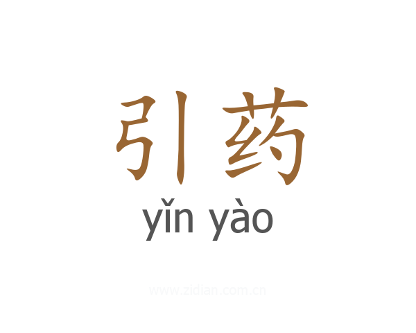 引药