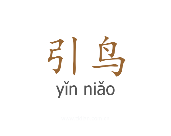 引鸟