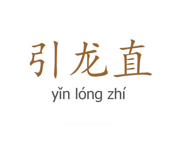 引龙直