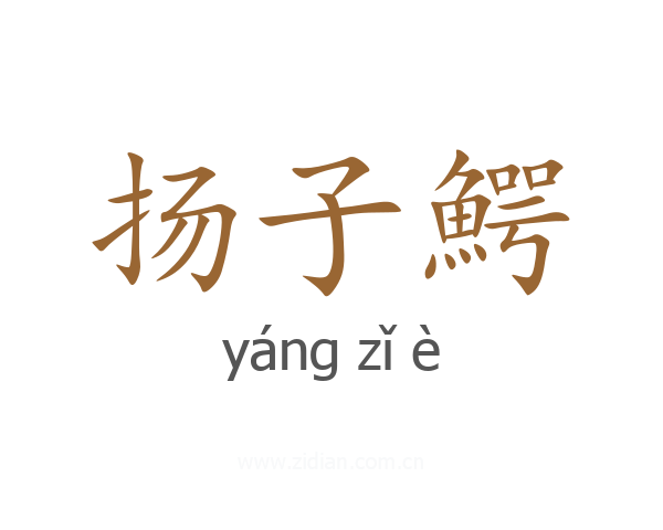 扬子鰐