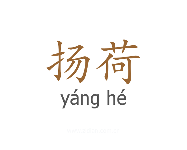 扬荷