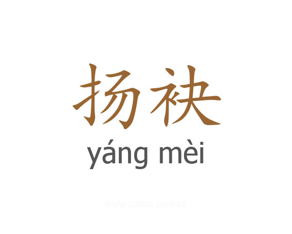 扬袂