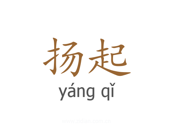 扬起