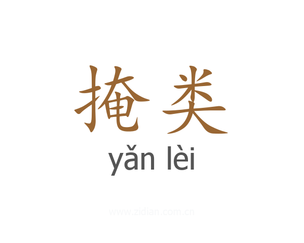 掩类