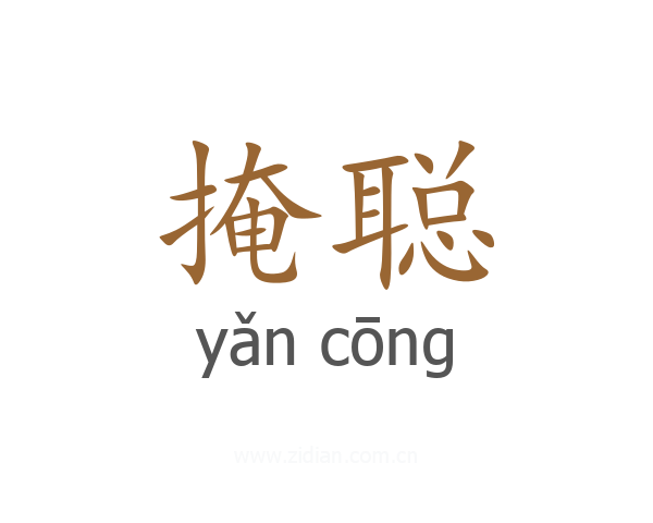 掩聪