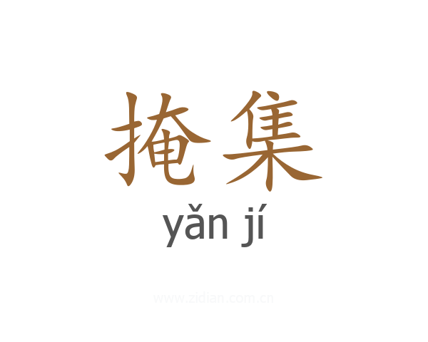 掩集