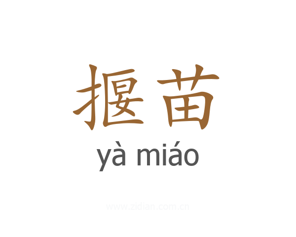 揠苗