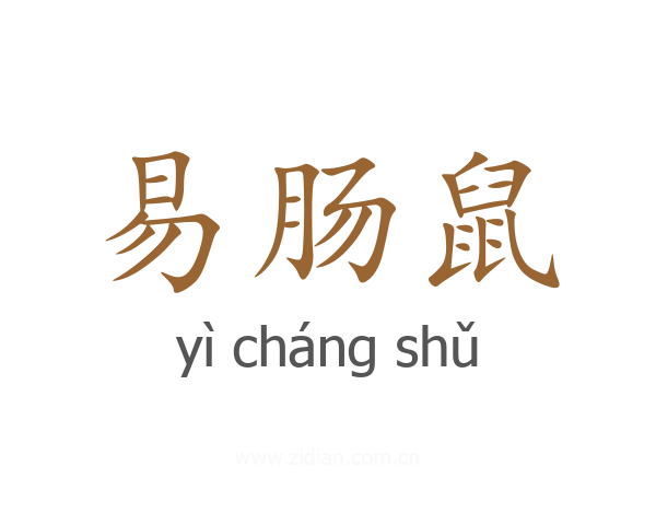 易肠鼠