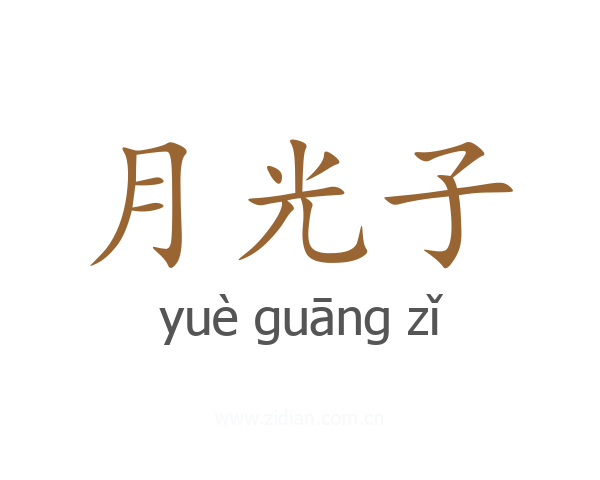 月光子