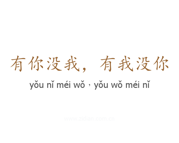 有你没我，有我没你