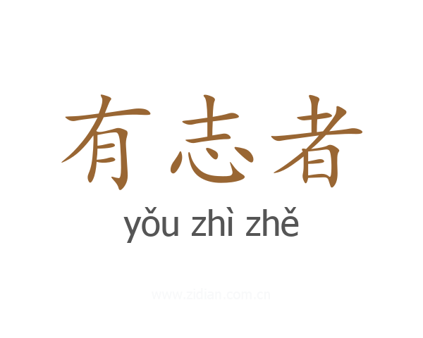 有志者