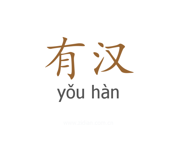 有汉