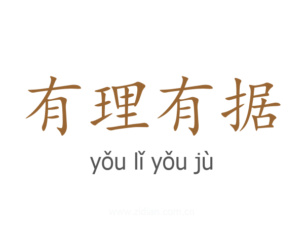 有理有据