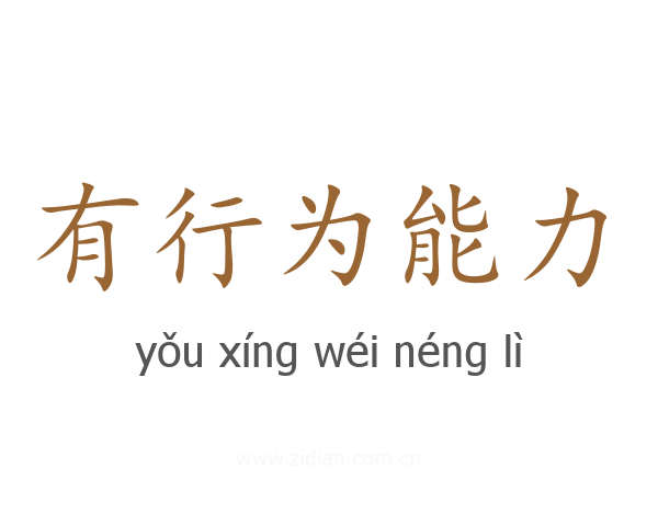 有行为能力