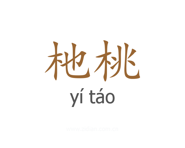 杝桃