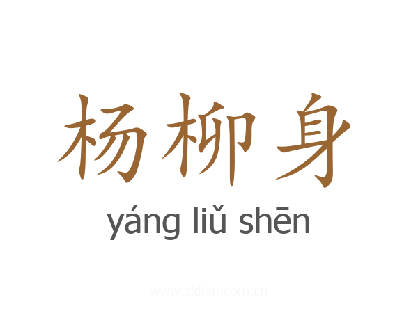 杨柳身