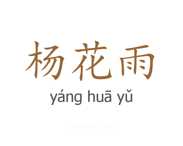 杨花雨