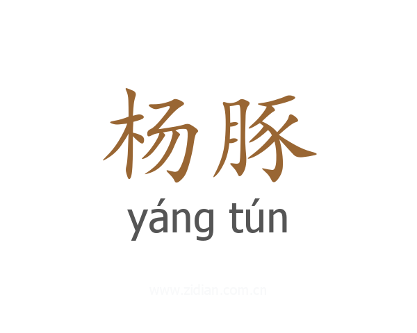 杨豚